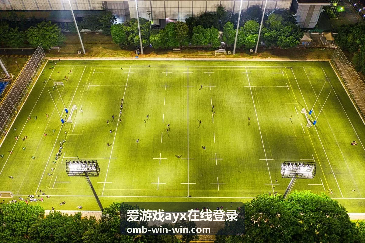 爱游戏ayx在线登录账号安全检查清单配图